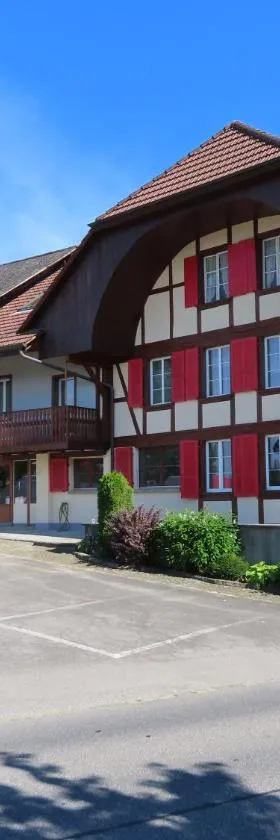 Gasthof Schwanen Radelfingen，位于Radelfingen的酒店