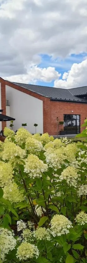 Hotel Węgierki，位于弗热希尼亚的酒店