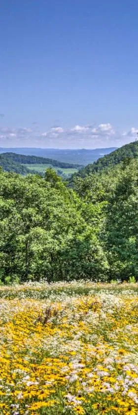 La Crescent Cottage on Minnesota Bluffs with View!，位于La Crescent的酒店