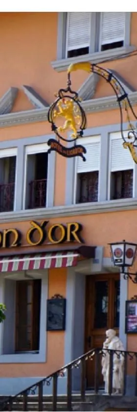 Hôtel Lion d'Or Romont，位于罗蒙的酒店