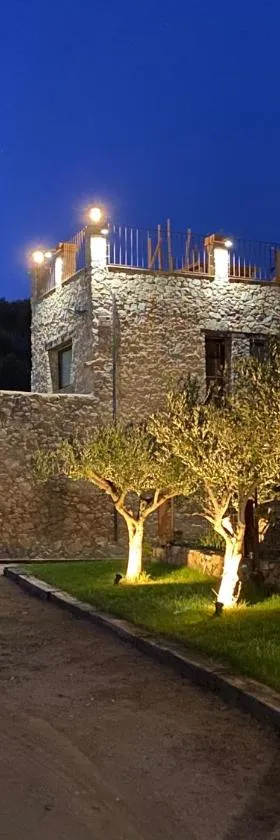 Can Massana，位于Pau的酒店