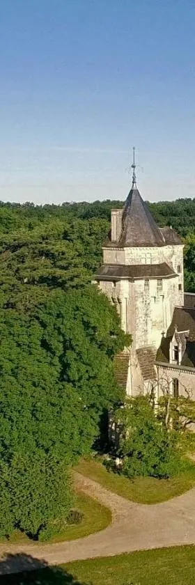 Château de Ternay，位于特内的酒店