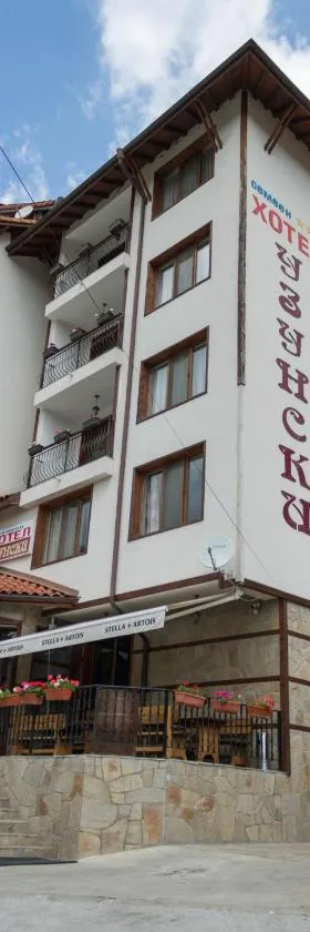 舞尊斯基酒店，位于斯莫梁的酒店
