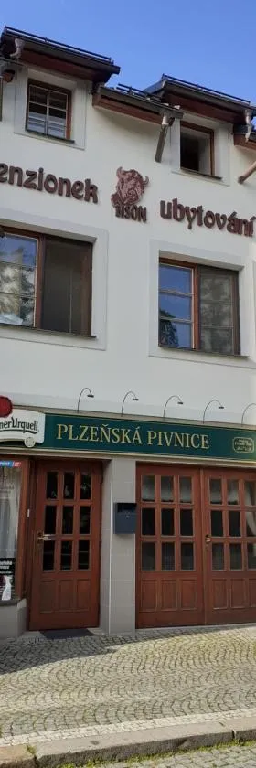 Ubytování nad Bisonem，位于赫林斯科的酒店