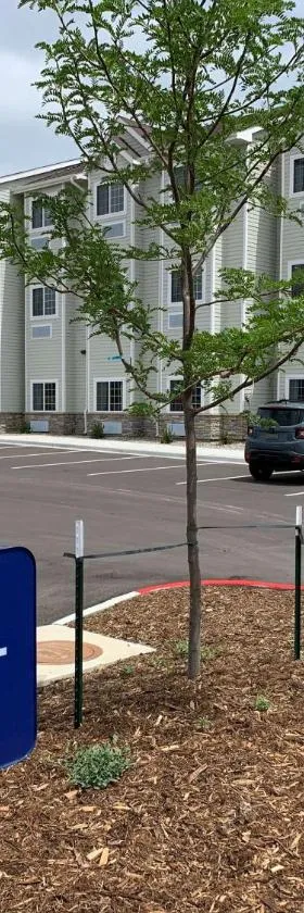 Microtel Inn & Suites by Wyndham Fountain Fort Carson，位于Fountain的酒店
