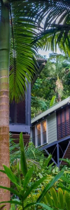 Daintree Ecolodge，位于丹特里的酒店