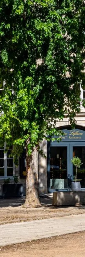 Olivier Leflaive Hôtel Restaurants，位于皮利尼蒙特拉谢的酒店