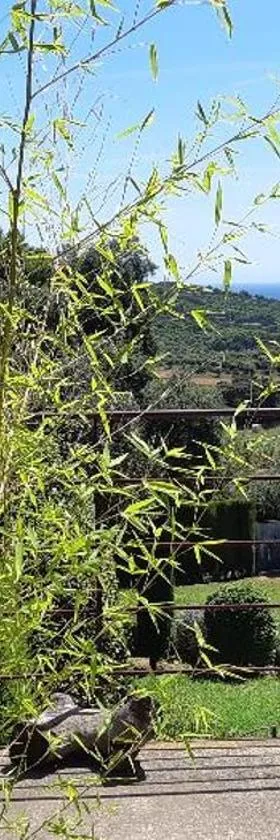 ESTUDIO vistas al mar TAMARIU y bosques de BEGUR，位于塔马留的酒店