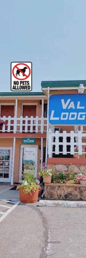 Value Lodge Inn，位于德尔塔的酒店