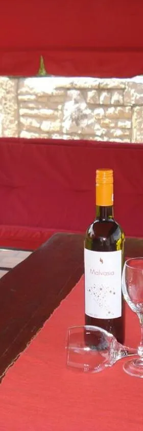 Apartment Premantura，位于普莱曼图拉的酒店