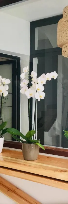 El Hotelito 27，位于圣克鲁斯-德拉帕尔马的酒店