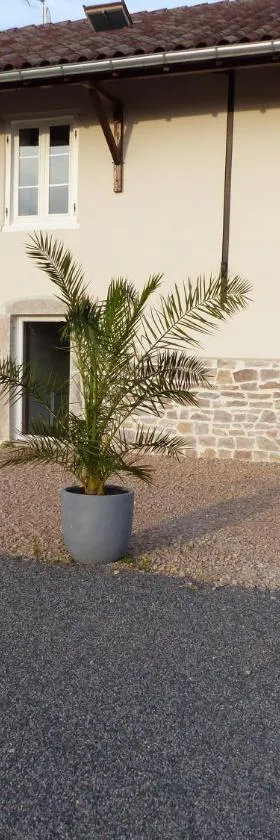 Gites Domaine de la Rochere，位于Domsure的酒店