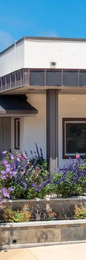 Wildflower Boutique Motel，位于波因特阿里纳的酒店