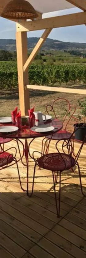 La bohème, gîte de charme，位于Quincié-en-Beaujolais的酒店