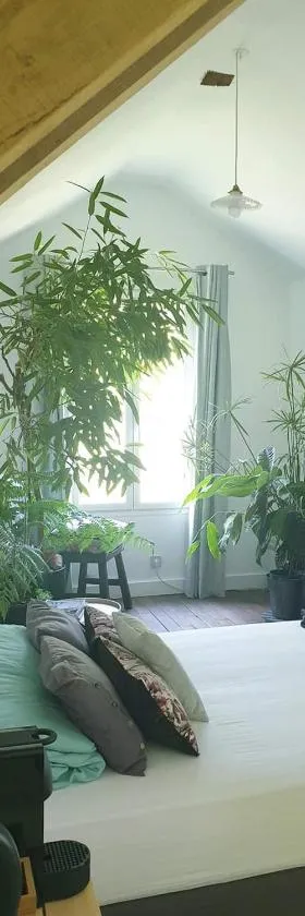 La petite maison du jardin d'Apollon，位于杜尔当的酒店
