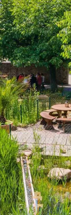 Landhotel Gut Wildberg mit Badeteich，位于梅森的酒店