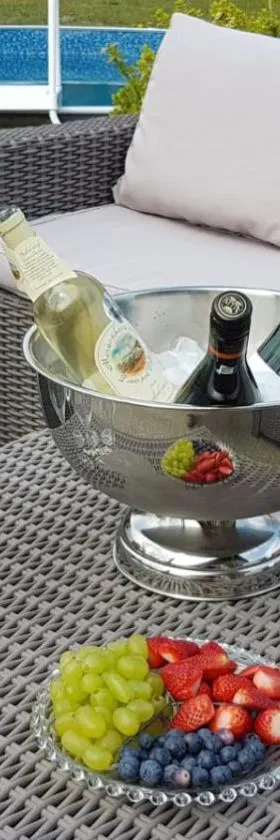 Ela Apartment Vilová，位于Skalná的酒店