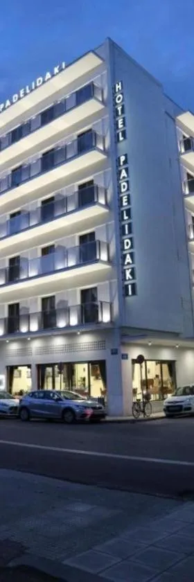 Hotel Padelidaki，位于特里卡拉的酒店
