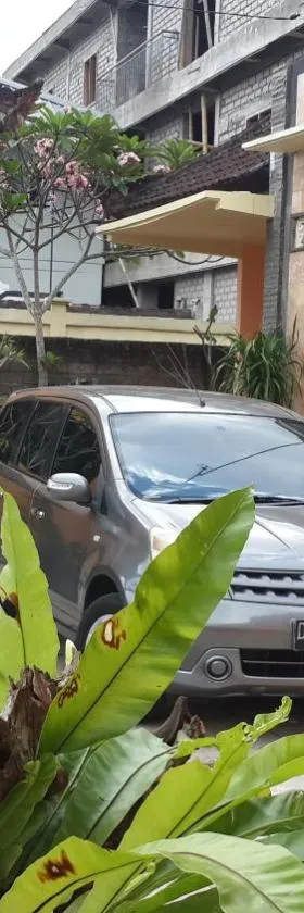 Jepun Bali hotel negara，位于Negara的酒店