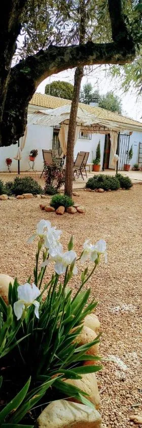 La Casa del Abuelo Jose，位于马尔莫莱霍的酒店