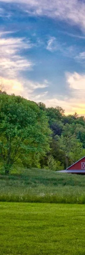 Mountain Springs Cabins，位于Candler的酒店