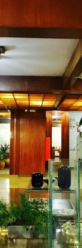 Minas Palace Hotel，位于帕苏斯的酒店