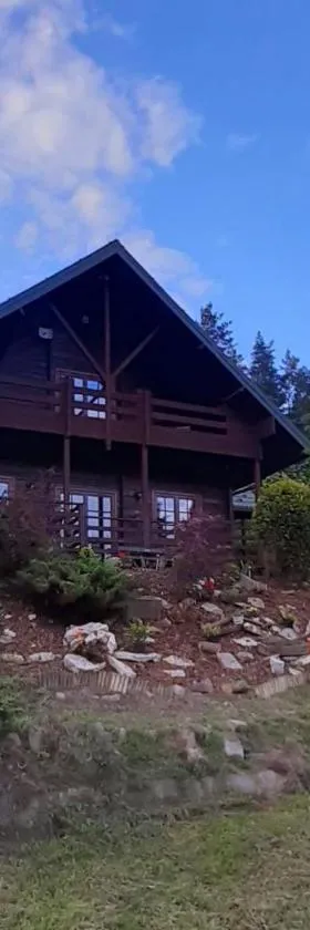 Dom Na Wzgórzu 479, The House on the hill，位于Sułkowice的酒店