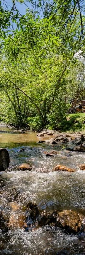 Colorado Bear Creek Cabins，位于埃弗格林的酒店