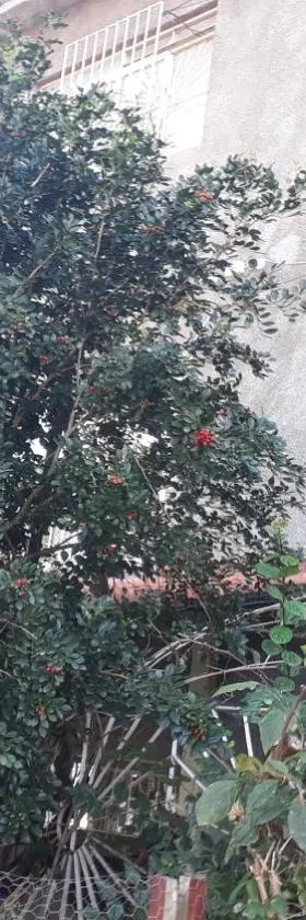 Pertinho da Mata，位于卡舒埃拉斯迪马卡库的酒店