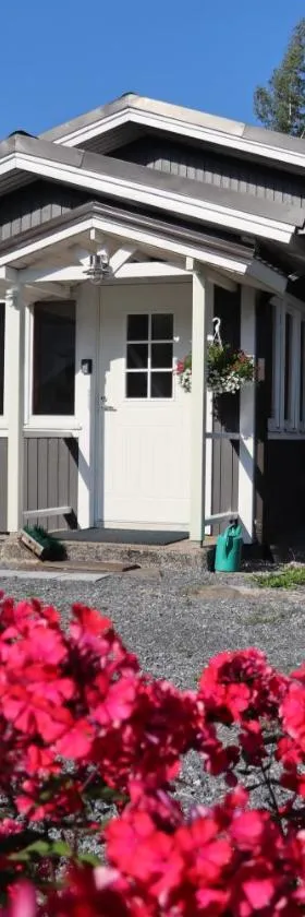 Hattapukki - Villa Himpula，位于Sysmä的酒店