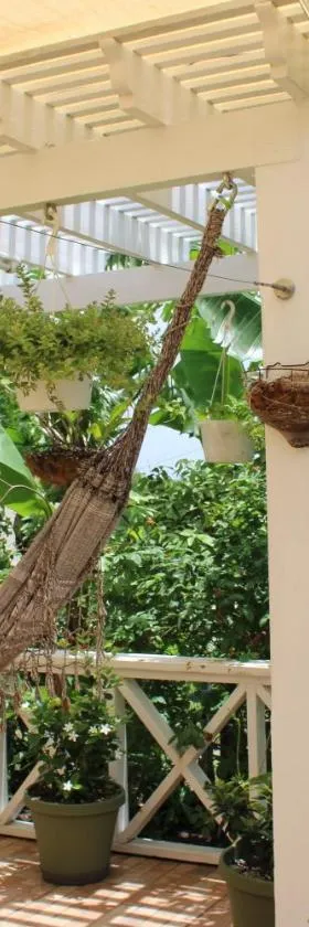 Tropical Garden Cottage Antigua，位于圣约翰斯的酒店