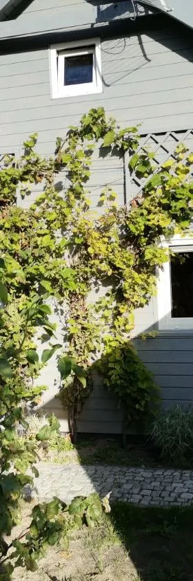 Apartament Wolin nad wodą koło Miedzyzrdrojów，位于沃林的酒店