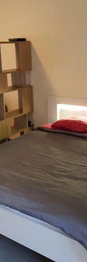 studio meublé Montjoly avec accès piscine，位于Camp de Rémire的酒店