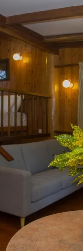 米尔克伍德山林小屋，位于库克敦的酒店
