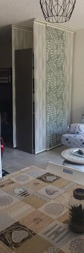 Studio 4 à 5 personnes Saint Jean Montclar，位于蒙特克拉的酒店