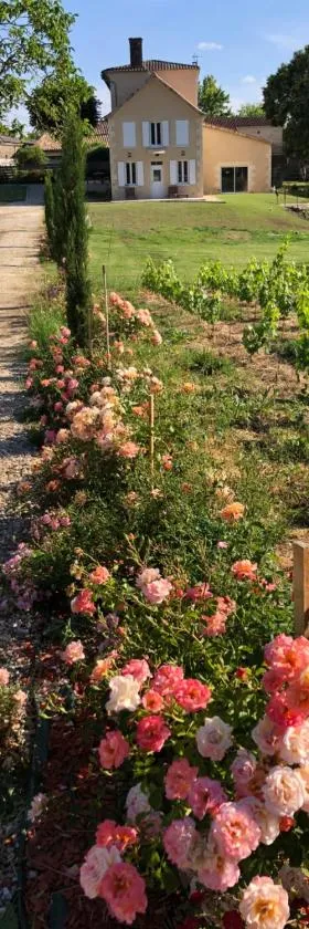 Allée des Roses，位于Saint-Philippe-dʼAiguille的酒店