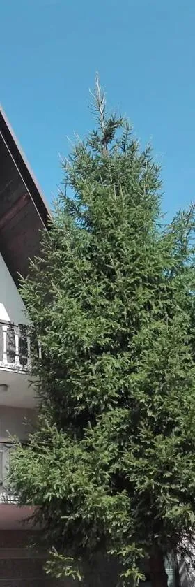 Agroturystyka Janiczek Tuchów，位于Dąbrówka Tuchowska的酒店