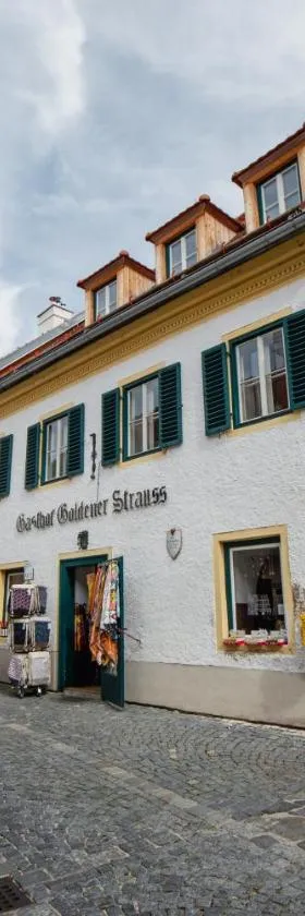 Smile Apartments zum Goldenen Strauß，位于杜伦斯坦的酒店