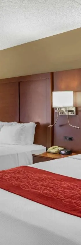 Comfort Inn & Suites Rochelle - DeKalb，位于Rochelle的酒店