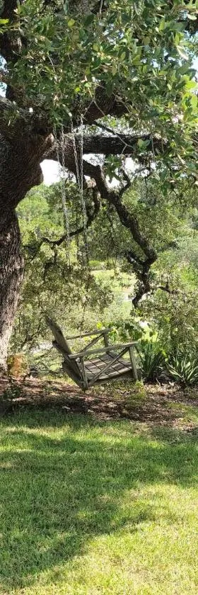 Hill Country Haute n Haus Relax and Renew，位于Fischer的酒店