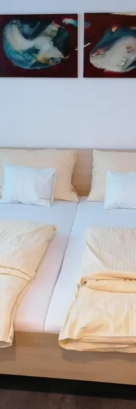 Turmöl Hotel，位于Allhaming的酒店