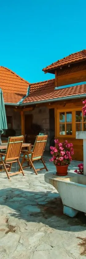 Seosko turisticko domacinstvo Radivojevic，位于查查克的酒店