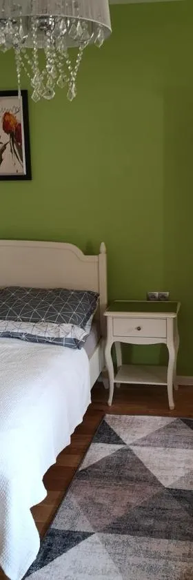 Apartament Zielony，位于弗沃达瓦的酒店