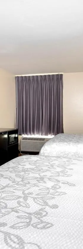 Red Roof Inn PLUS+ Tuscaloosa - University，位于塔斯卡卢萨的酒店