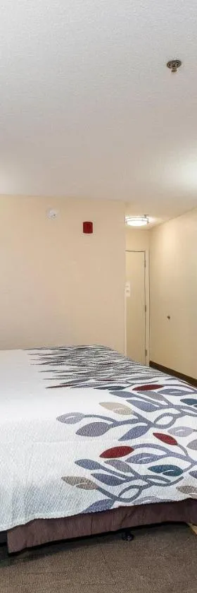 Red Roof Inn Gaffney，位于加夫尼的酒店
