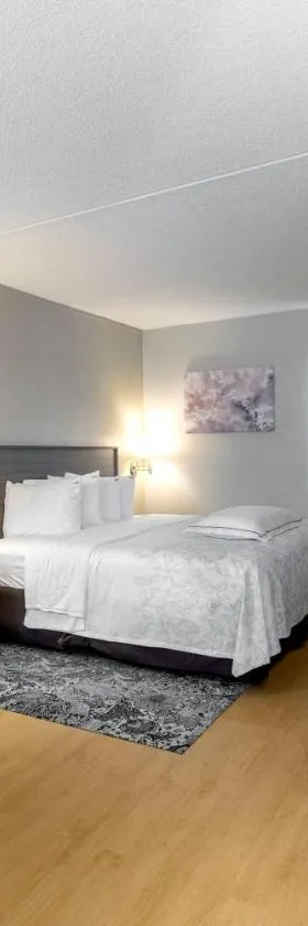 Red Roof Inn PLUS Boston - Mansfield - Foxboro，位于曼斯费尔德的酒店