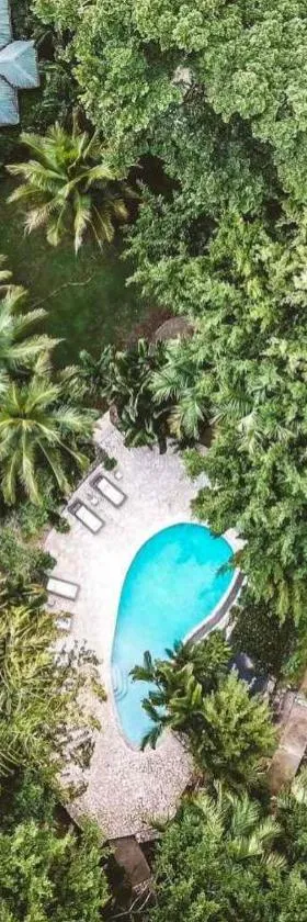Copal Tree Lodge a Muy'Ono Resort，位于Toledo Settlement的酒店
