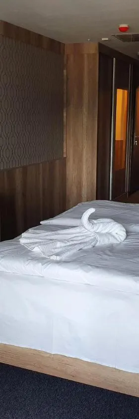 miniHotel Pápa，位于帕波的酒店