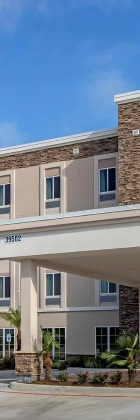 Comfort Inn & Suites，位于Waller的酒店