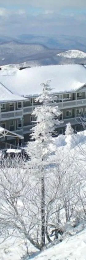 301 D Summit Dr. , Snowshoe Mountains, WV 26209，位于斯诺肖的酒店